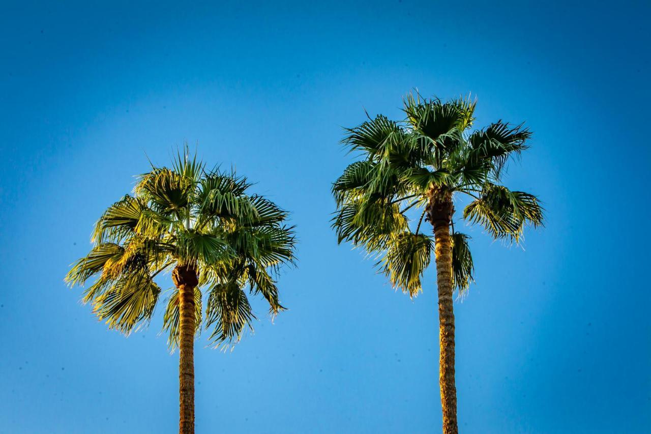 Hotel California Palm Springs Eksteriør bilde